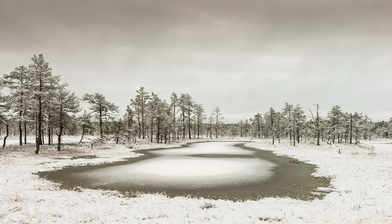 Winter landscape at Viru bog in Estonia